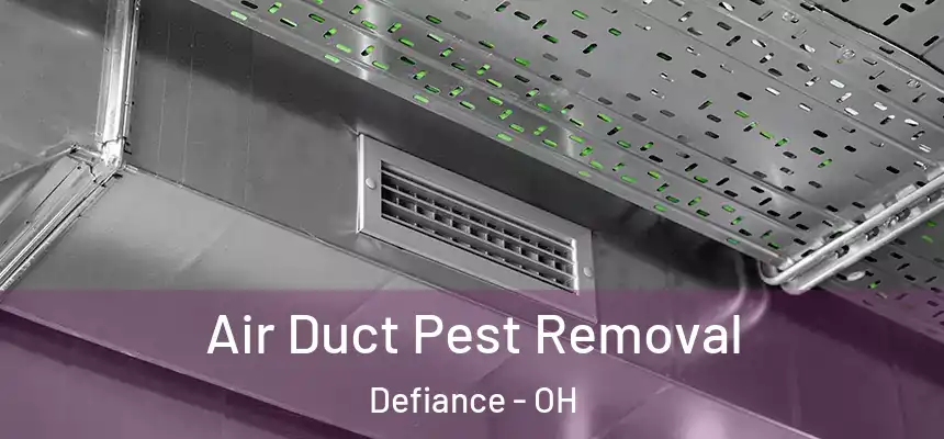  Air Duct Pest Removal Defiance - OH