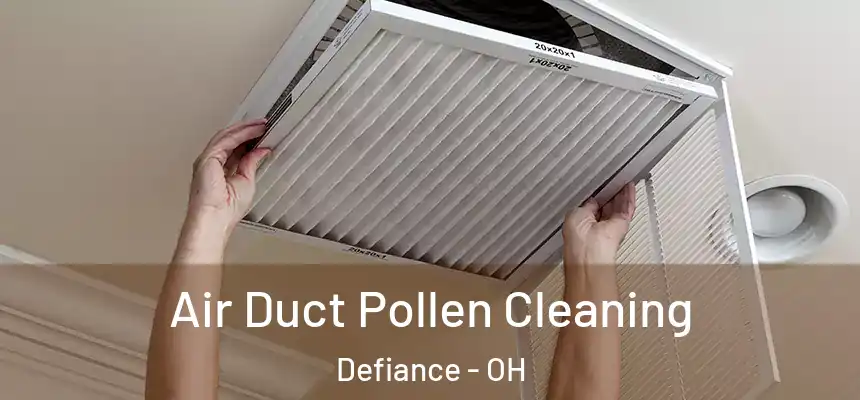  Air Duct Pollen Cleaning Defiance - OH
