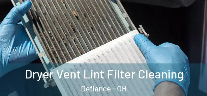  Dryer Vent Lint Filter Cleaning Defiance - OH