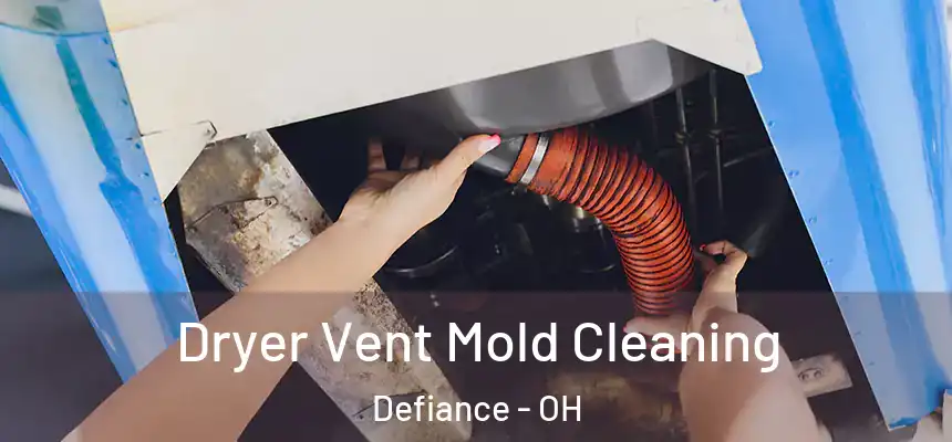  Dryer Vent Mold Cleaning Defiance - OH