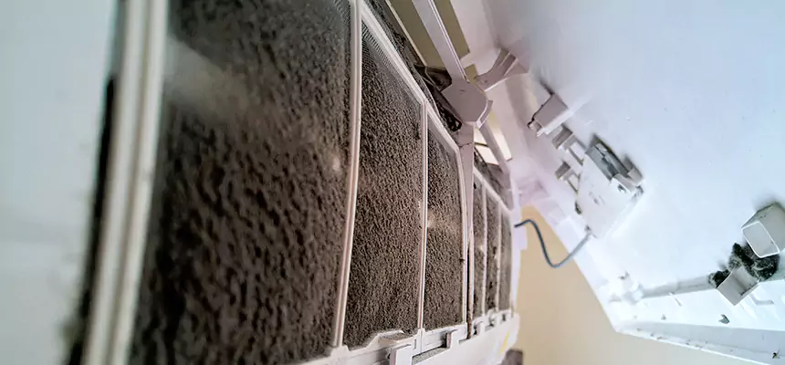 Preventive Air Duct Bacteria Removal in Defiance