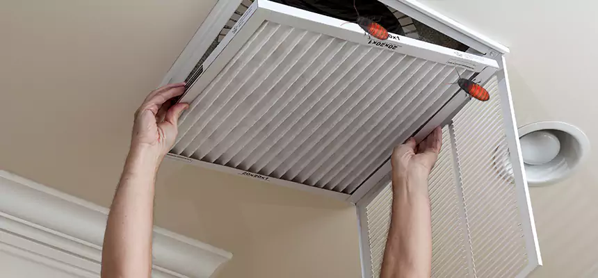 Preventive Cockroach-Proofing for Ducts in Defiance