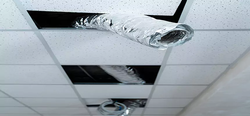 Our Air Duct Pet Hair Removal Services in Defiance, OH