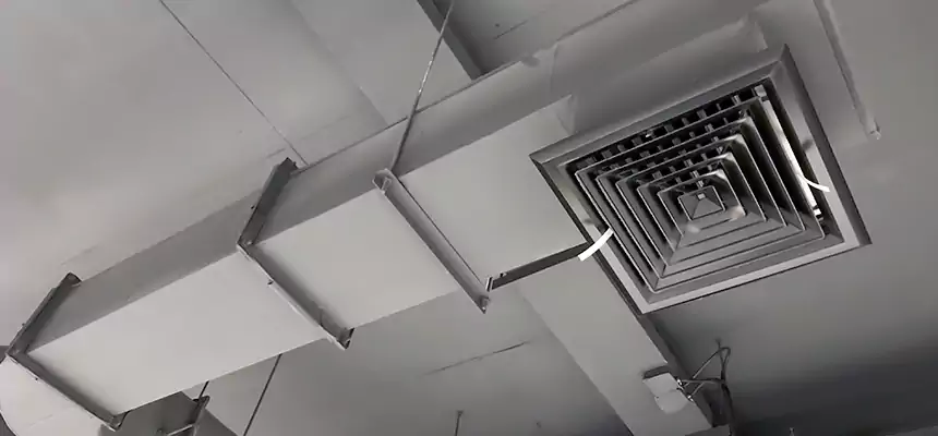 Our Pest Removal From Ducts Services in Defiance, OH