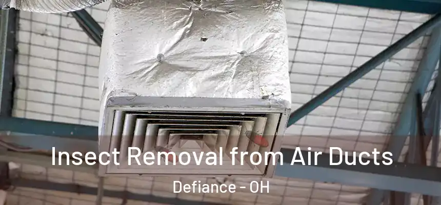  Insect Removal from Air Ducts Defiance - OH