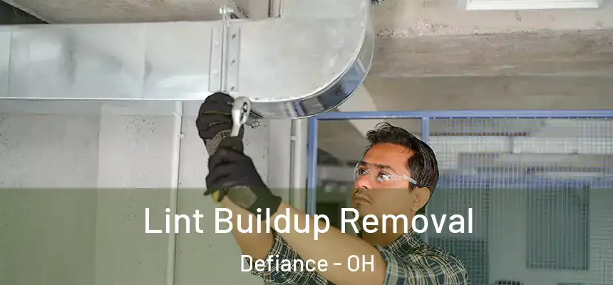  Lint Buildup Removal Defiance - OH