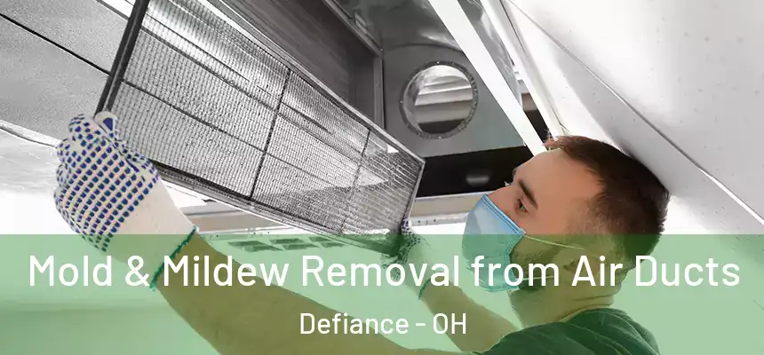  Mold & Mildew Removal from Air Ducts Defiance - OH