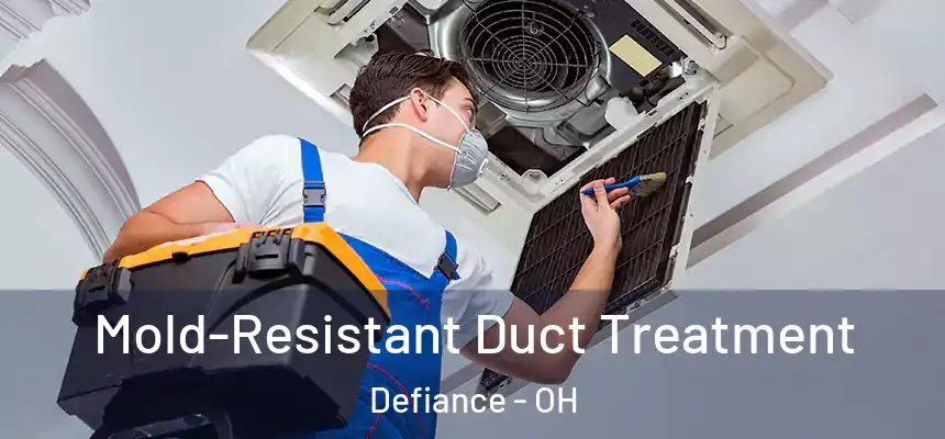  Mold-Resistant Duct Treatment Defiance - OH