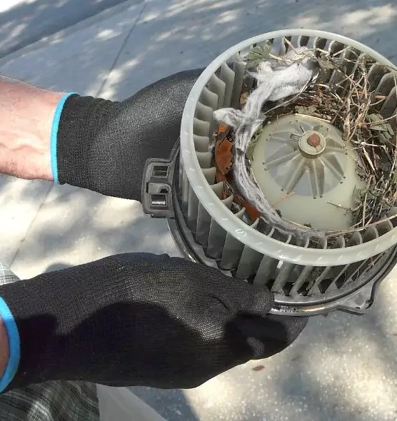 About Air Duct Mice Removal in Defiance, OH