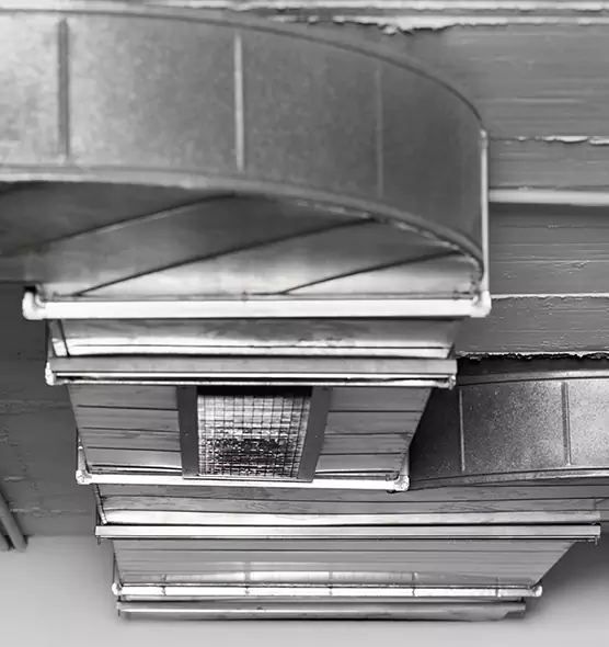 Professional Air Duct Pest Removal in Defiance, OH