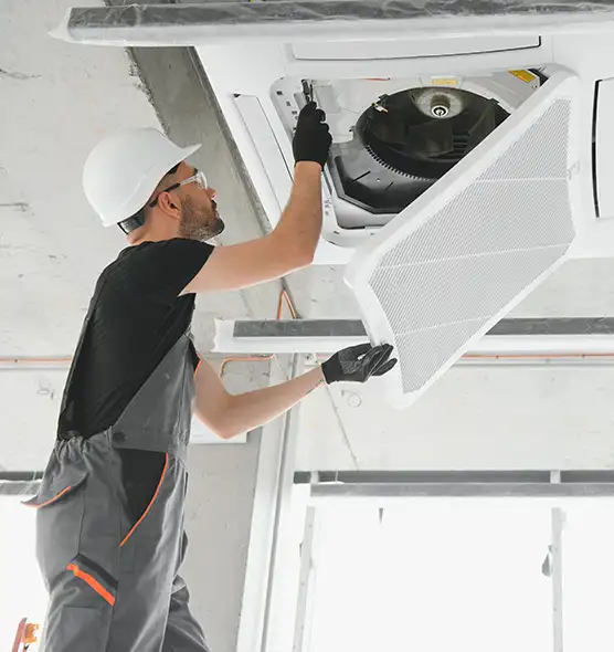 About Air Duct Rodent Removal in Defiance, OH