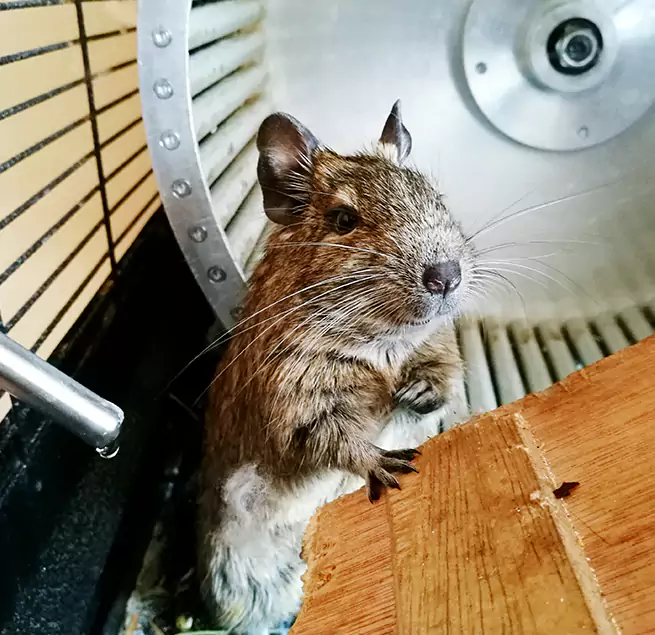 Why Homeowners & Businesses Trust Us Defiance, OH